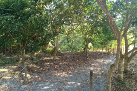 Casa à venda com 3 suítes no condomínio Associação dos Moradores do Loteamento Alto da Floresta, Bom Jesus dos Perdões - SP