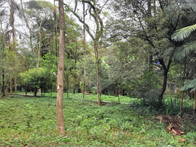 Casa à venda com 4 suítes no condomínio Chácara Flora, São Paulo - SP
