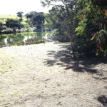 Terreno à venda no condomínio Garden Villa Rp, Ribeirão Preto - SP