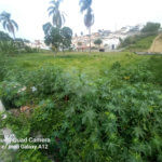 Terreno à venda em Vila Oliveira, Mogi das Cruzes, SP