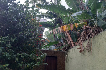 Terreno à venda em Vila Gustavo, São Paulo, SP