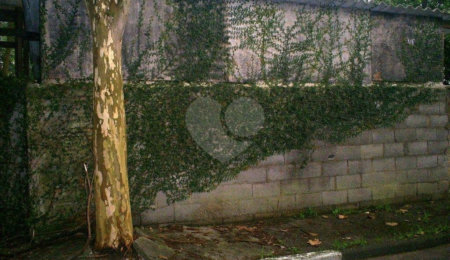 Terreno à venda em Morumbi, São Paulo, SP