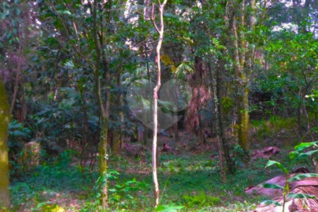 Terreno à venda com 1 suíte no condomínio Chácara Flora, São Paulo - SP