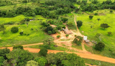 Fazenda à venda com 2 quartos no Centro, Estreito, MA