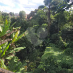 Chácara à venda com 3 quartos em Parque Alvorada, Suzano, SP