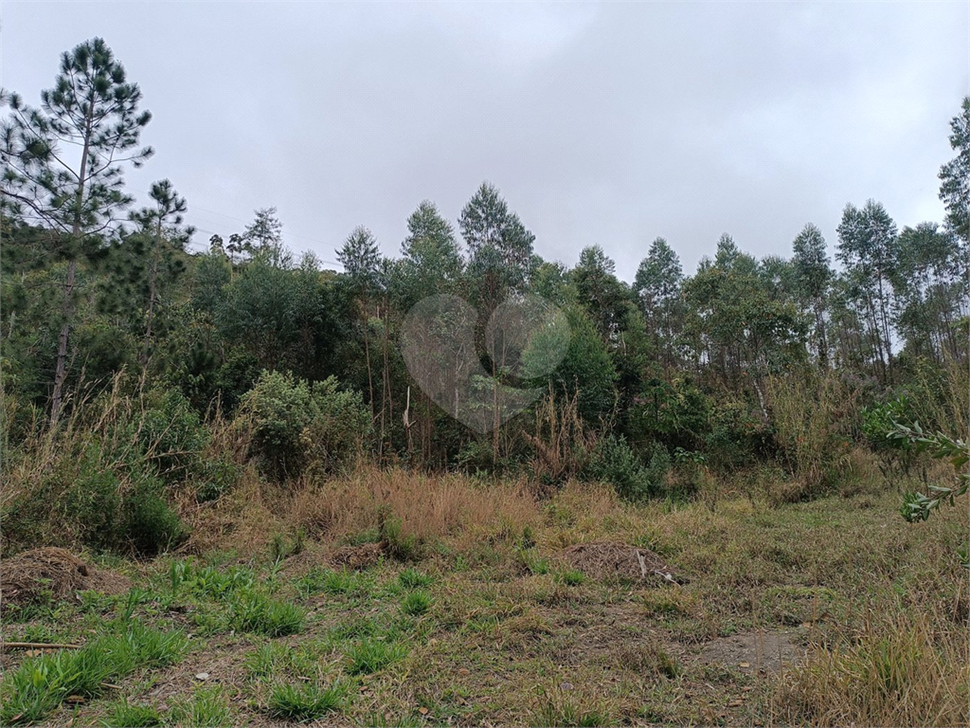 Terreno à venda em Vila Junqueira, São Roque, SP