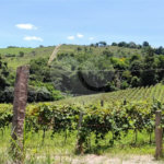 Chácara à venda em Estância Hidromineral Santa Eliza, Itupeva, SP