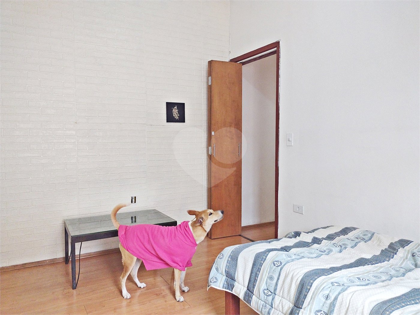 Casa à venda com 5 quartos, sendo 1 suíte, em Água Fria, São Paulo, SP