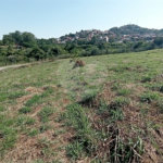 Terreno à venda com 1 suíte em Jardim Portugal, Valinhos, SP