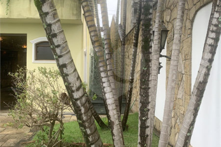 Sobrado à venda com 4 quartos, sendo 3 suítes, em Planalto Paulista, São Paulo, SP