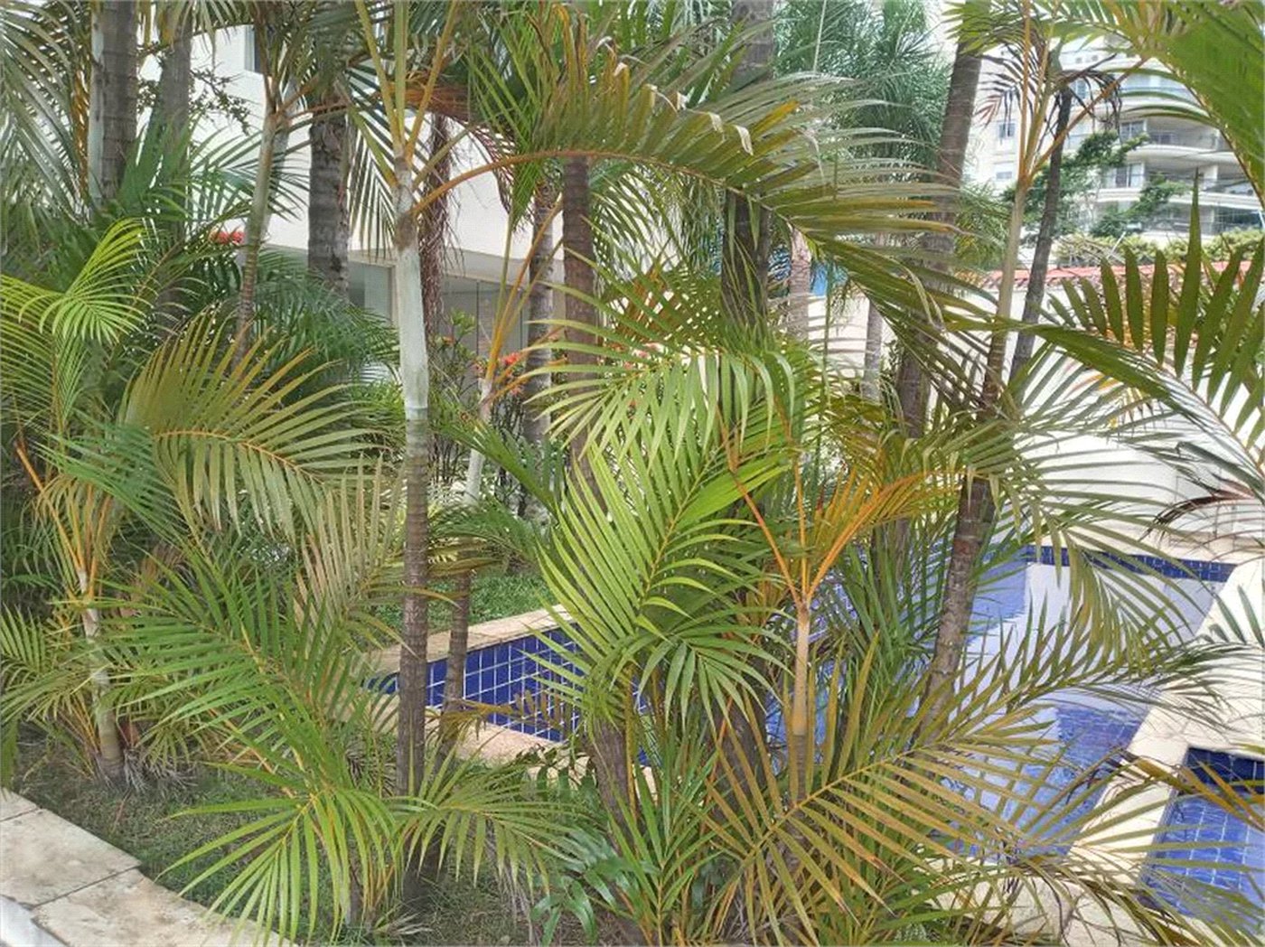 Apartamento para alugar com 2 suítes em Vila Suzana, São Paulo, SP