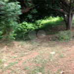 Terreno à venda em Imirim, São Paulo, SP