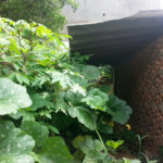 Terreno à venda em Imirim, São Paulo, SP