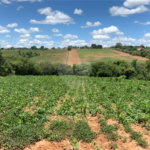 Área de Terra à venda em Cristóvão, Araçoiaba da Serra, SP
