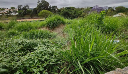 Terreno à venda em Tremembé, São Paulo, SP