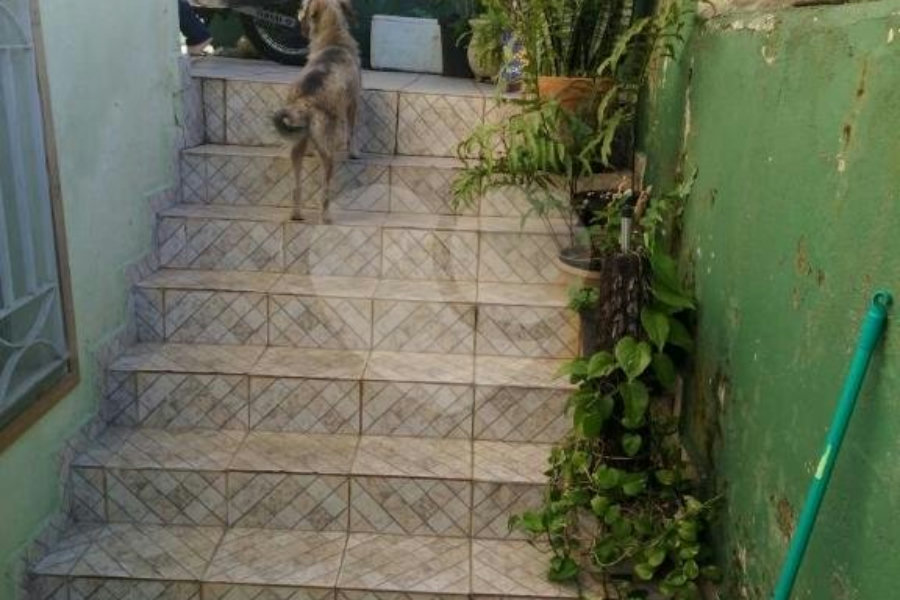 Casa Térrea à venda com 3 quartos, sendo 1 suíte, em Mandaqui, São Paulo, SP