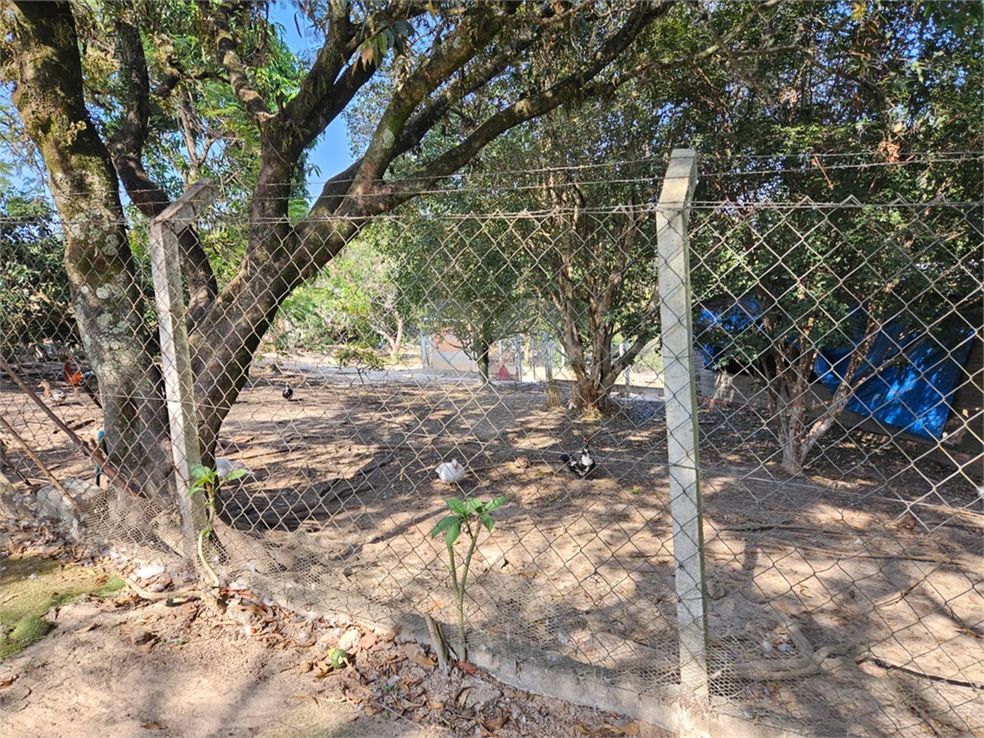 Sítio à venda em Mato Dentro, Indaiatuba, SP