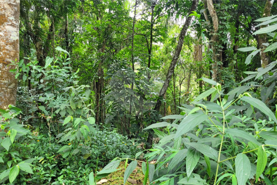Terreno à venda no condomínio Cantareira, Mairiporã - SP