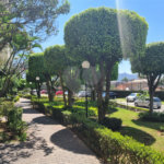 Apartamento à venda com 2 quartos em Parque Maria Domitila, São Paulo, SP