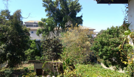 Terreno à venda em Vila Albertina, São Paulo, SP