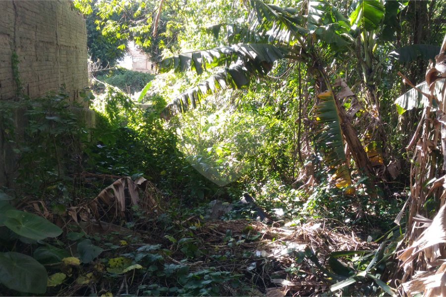 Terreno à venda em Casa Verde, São Paulo, SP