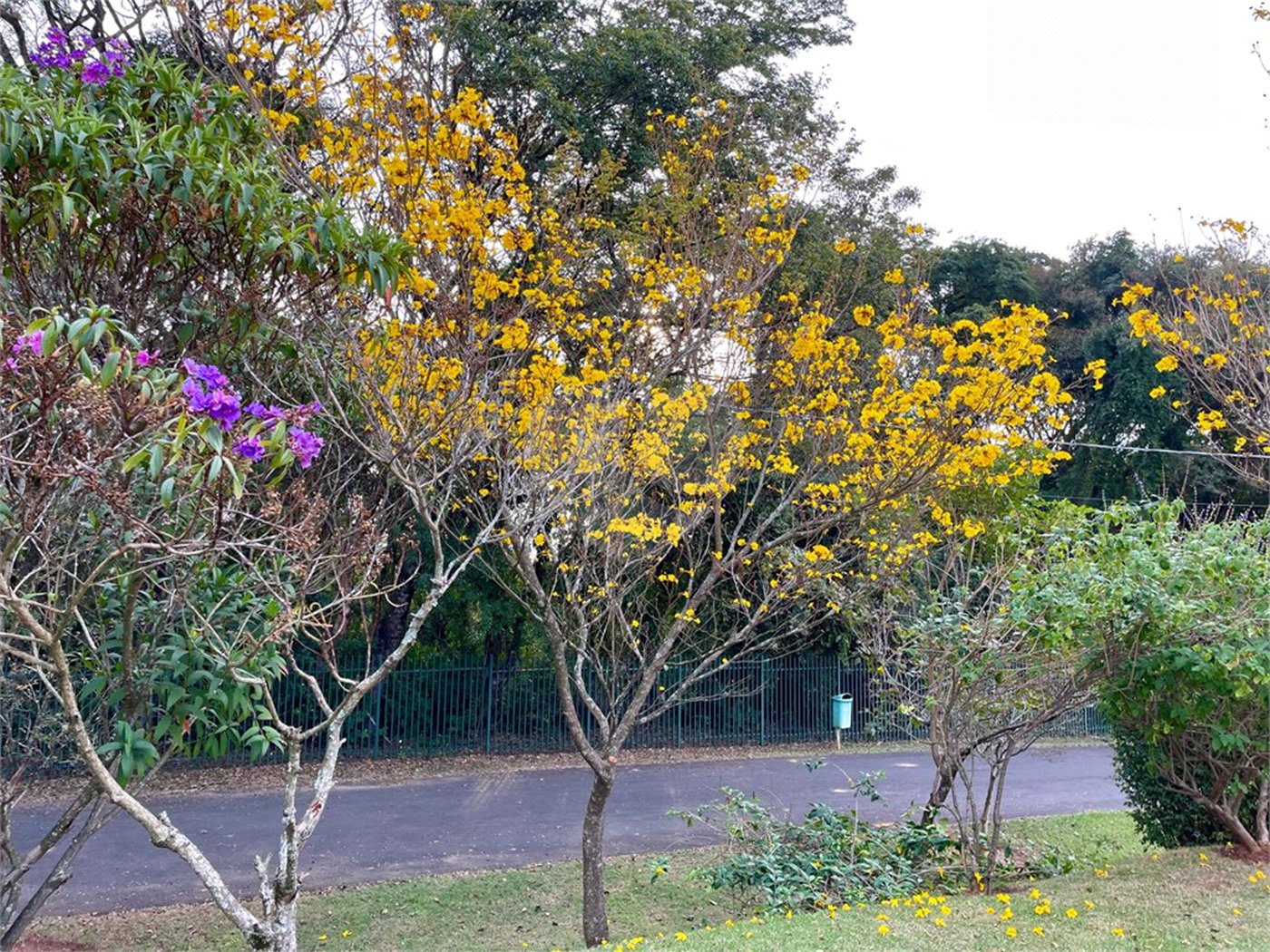 Casa à venda com 3 quartos, sendo 1 suíte, no condomínio Vale do Lago, Sorocaba - SP
