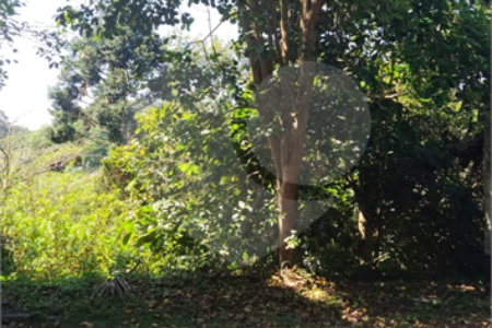 Chácara à venda com 5 quartos, sendo 1 suíte, em Estância São Luís, Suzano, SP