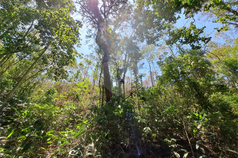 Terreno à venda em Serra da Cantareira, Mairiporã, SP