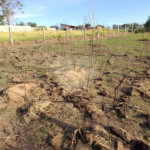 Terreno à venda em Jardim Aracy, Mogi das Cruzes, SP