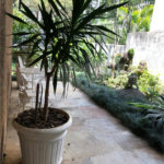 Casa à venda com 3 quartos, sendo 1 suíte, em Tremembé, São Paulo, SP