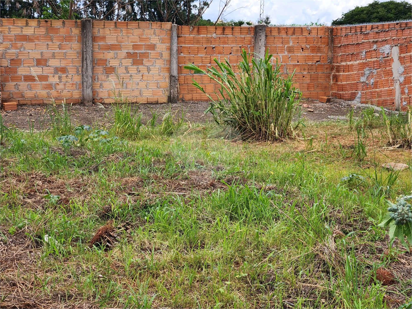 Terreno à venda em Parque Alvorada, Araraquara, SP
