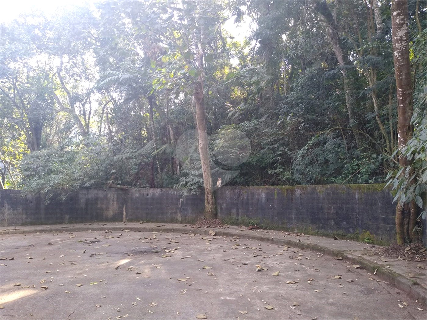 Terreno à venda em Tucuruvi, São Paulo, SP