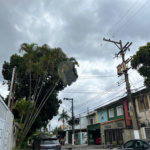 Terreno à venda em Jardim Hípico, São Paulo, SP