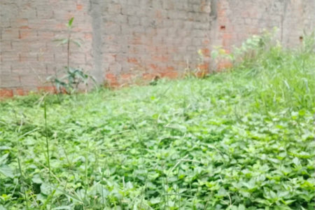 Terreno à venda em Alto da Boa Vista, São Paulo, SP