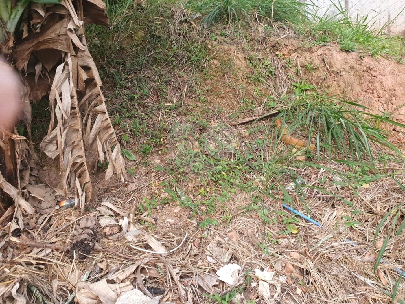 Terreno à venda em Vila Indiana, São Paulo, SP