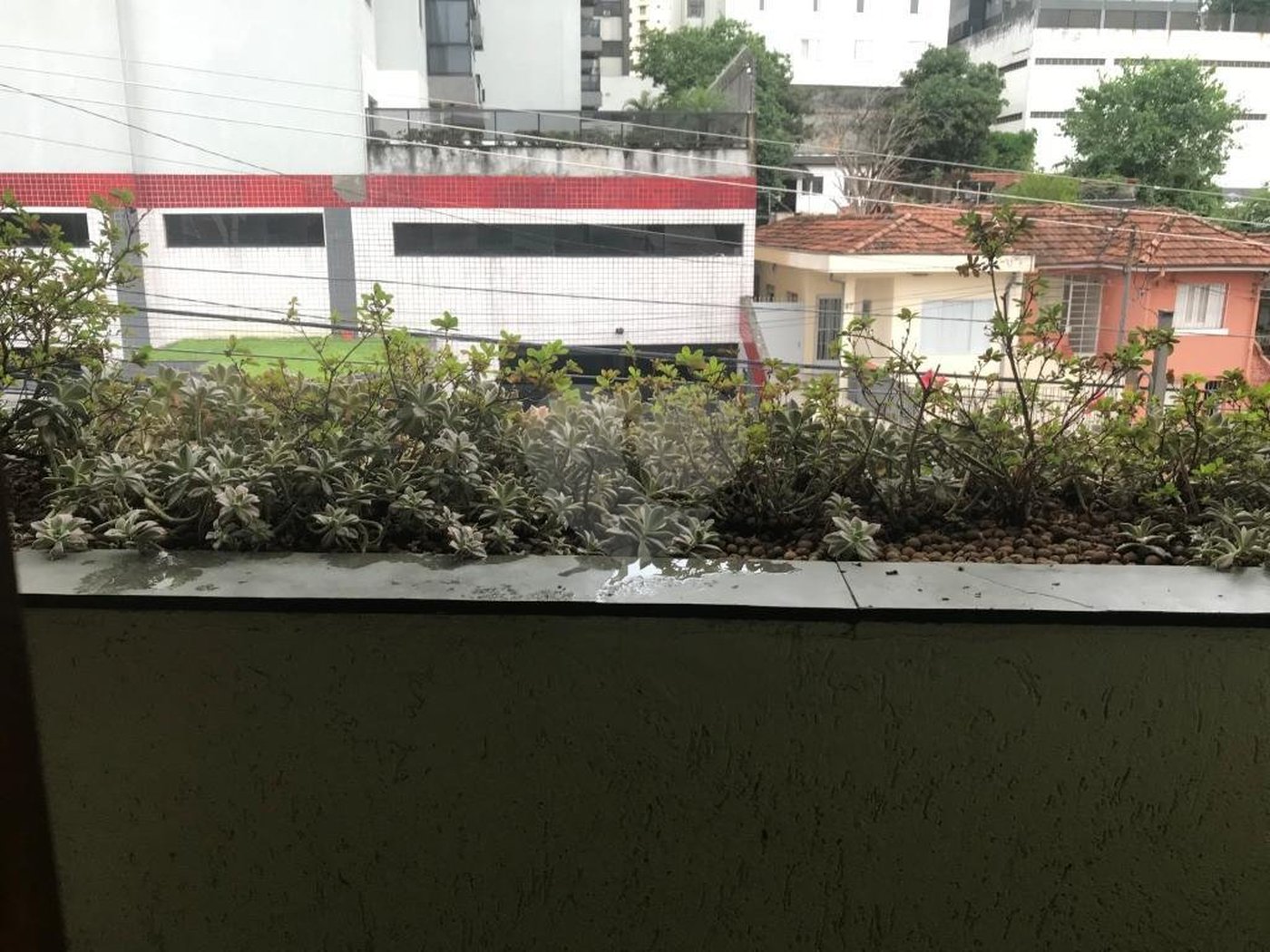 Sobrado à venda com 3 suítes em Santana, São Paulo, SP