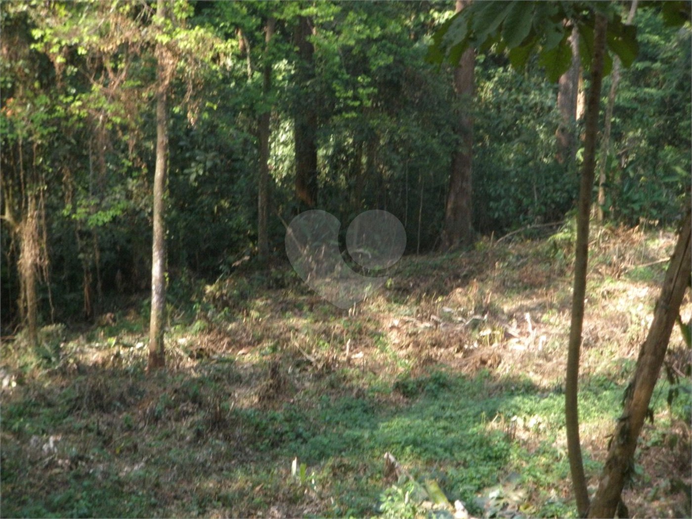 Terreno à venda em Vila Albertina, São Paulo, SP