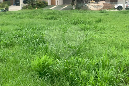 Terreno à venda no condomínio Residencial Veneza, Mogi das Cruzes - SP