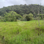 Terreno à venda no Centro, Bom Jesus dos Perdões, SP