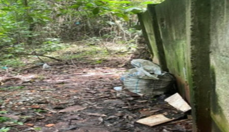 Terreno à venda em Jardim Ampliação, São Paulo, SP