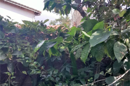 Casa à venda com 2 quartos em Jardim Semiramis, Cotia, SP