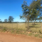 Terreno à venda em Jardim Residencial Iedda, Araraquara, SP