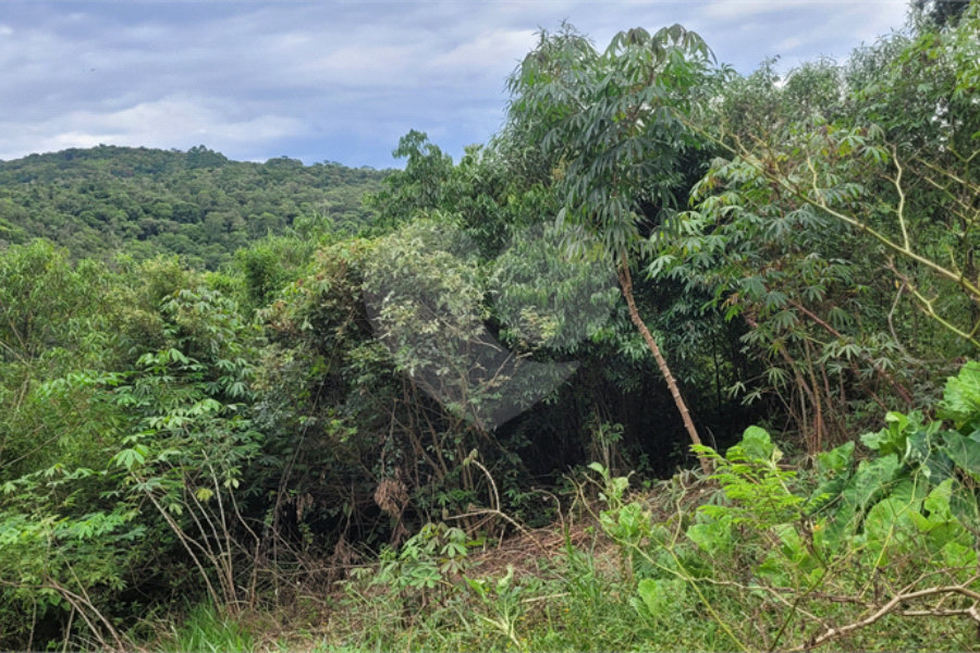Terreno à venda em Serra da Cantareira, Mairiporã, SP