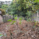 Terreno à venda em Santana, São Paulo, SP