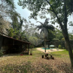 Terreno à venda com 4 suítes no condomínio Alpes da Cantareira, Mairiporã - SP