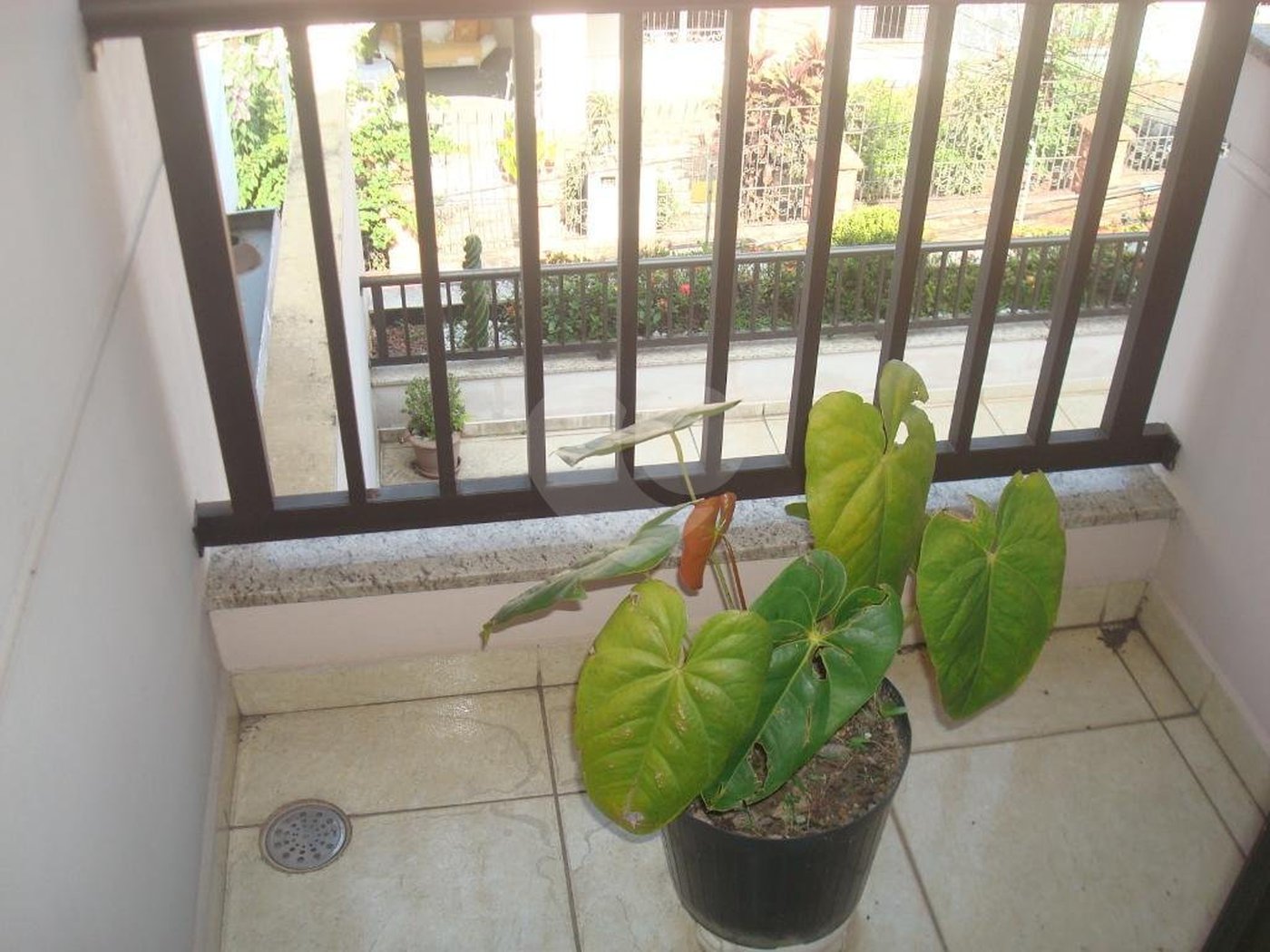 Sobrado à venda com 3 suítes em Vila Isolina Mazzei, São Paulo, SP