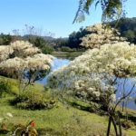 Casa à venda no condomínio Chácaras do Lago, Vinhedo - SP