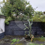 Casa Térrea à venda com 2 quartos em Tremembé, São Paulo, SP