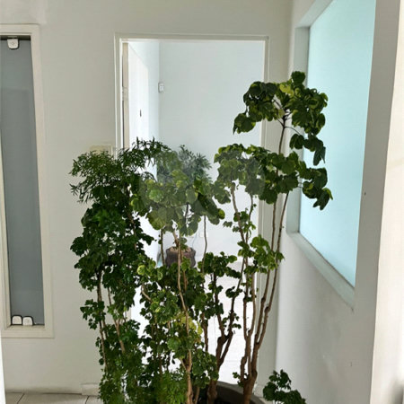 Casa à venda com 4 quartos em Jardim Oriental, São Paulo, SP