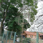 Chácara à venda com 3 quartos no Centro, Vinhedo, SP